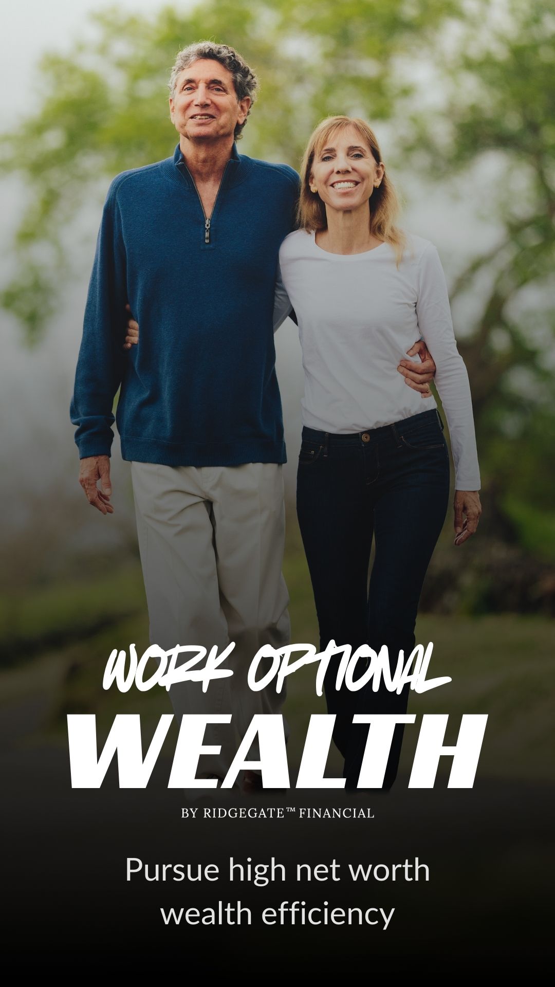 Work Optional Wealth