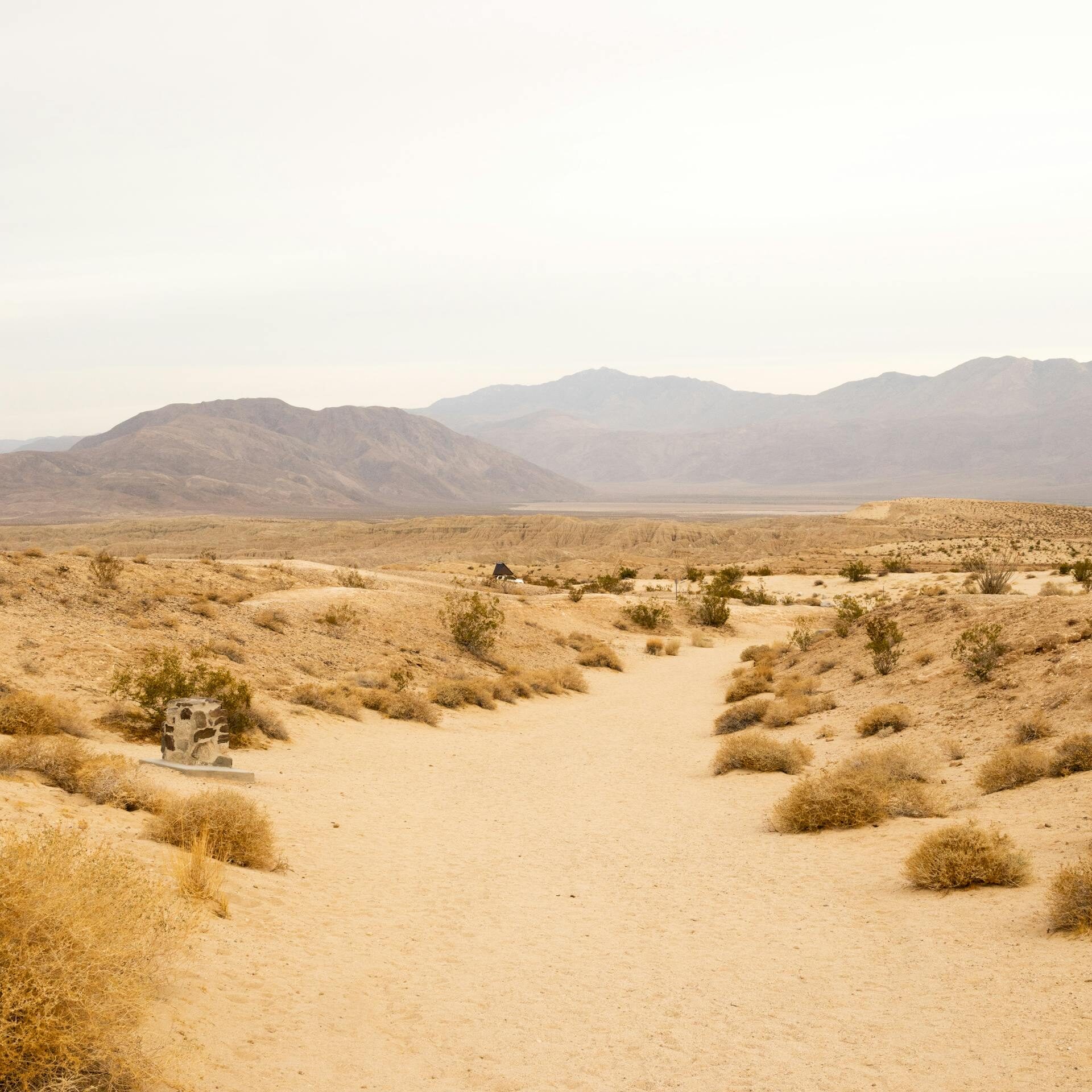 Desert landscape