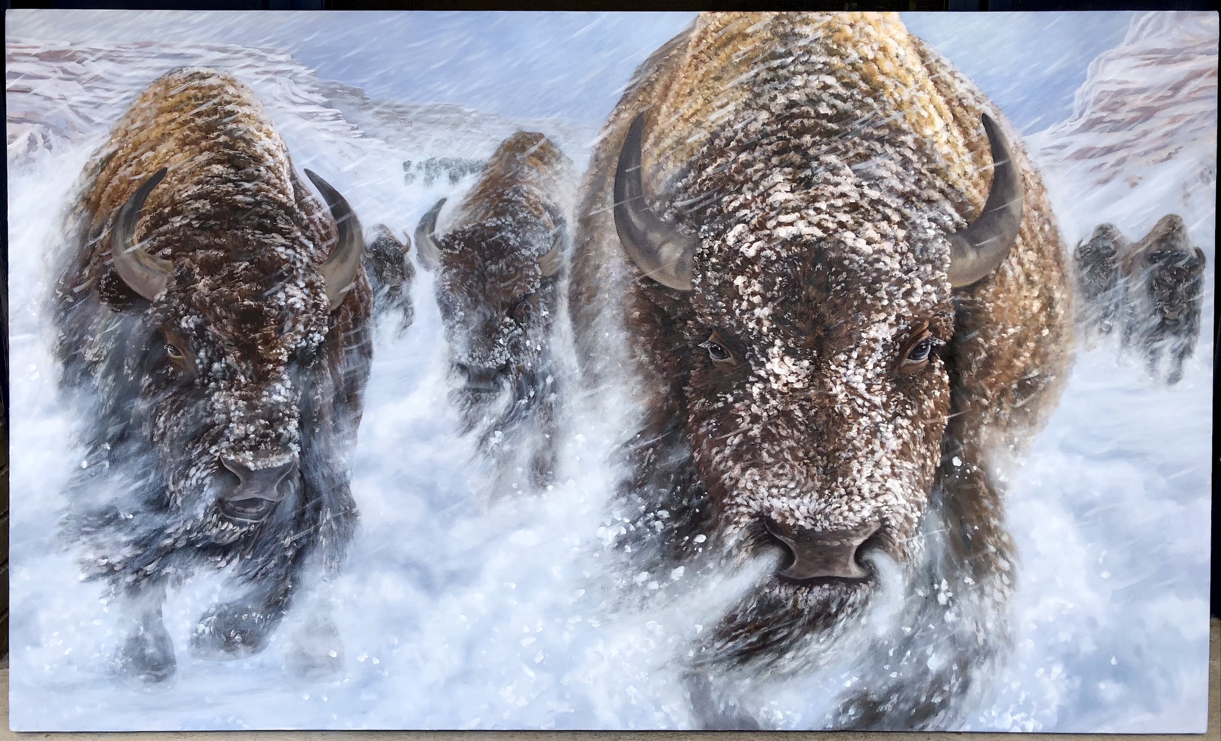 The Bison in the Storm